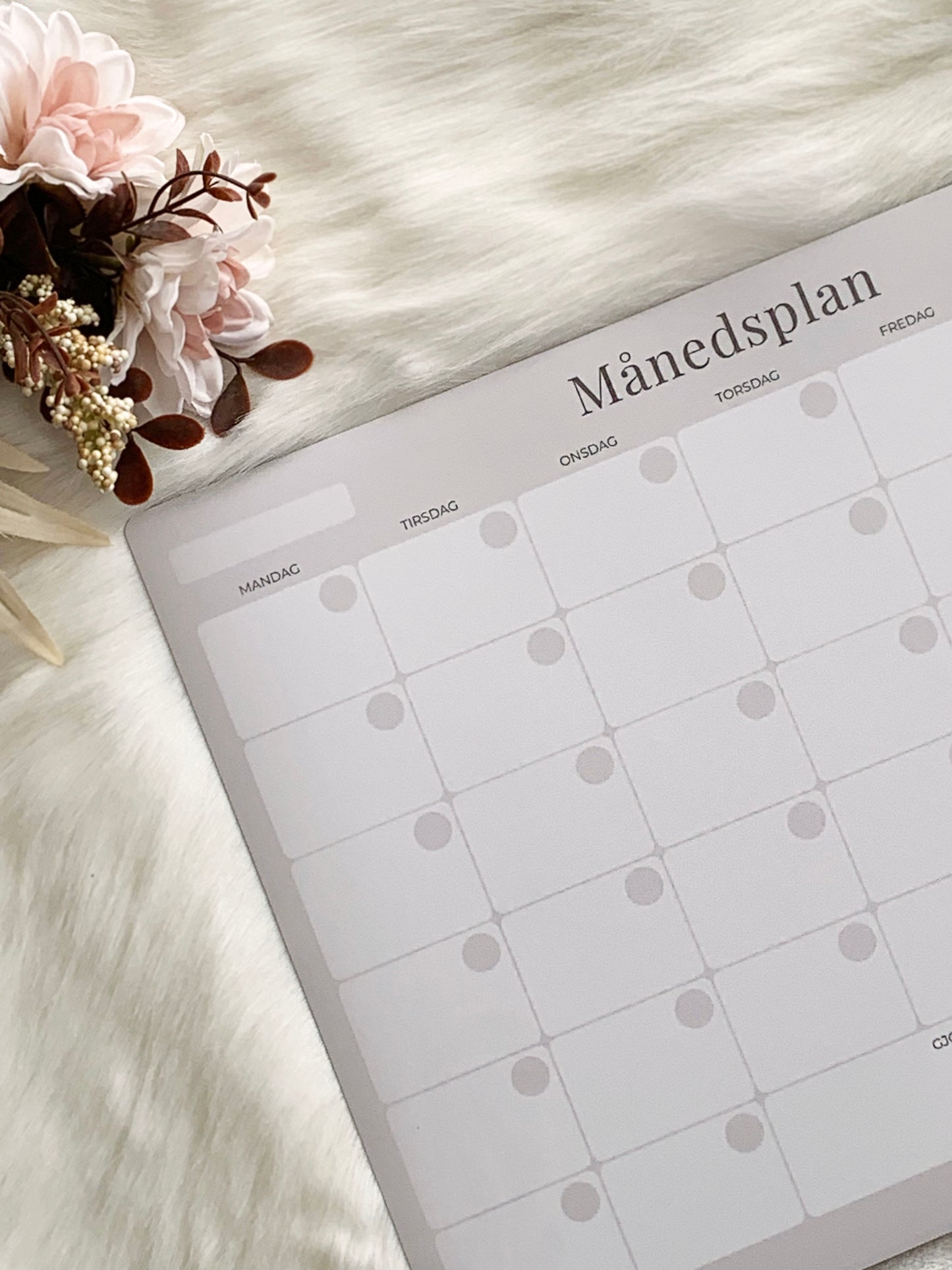 Månedsflyt - Månedsplan